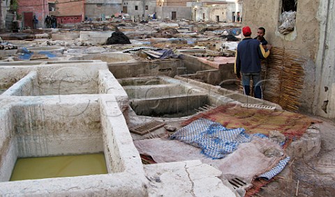 Leather tannery in Marrakech souk Morocco