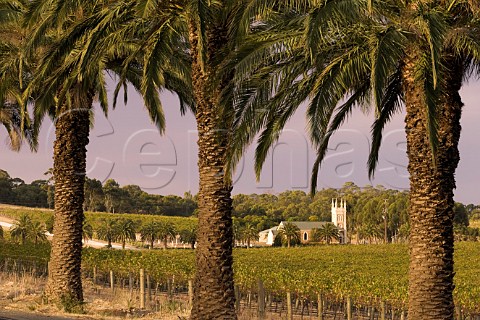 Palm trees on Seppeltsfield Road with Gnadenfrei Lutheran Church and Barossa Valley Estate vineyard  Marananga South Australia  Barossa Valley