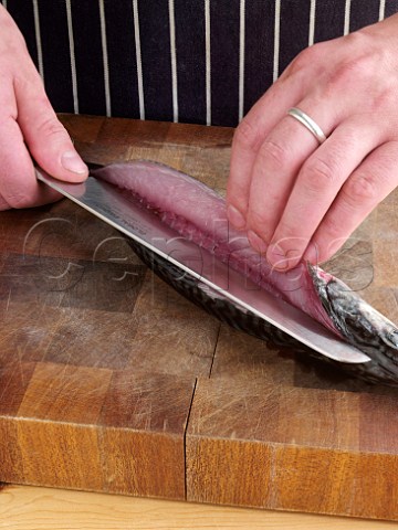 Filleting mackerel