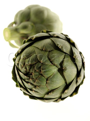 Two whole artichokes on a white background