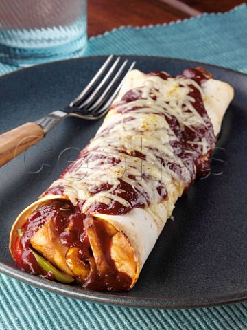 Chicken onion and mushroom tortilla with BBQ sauce