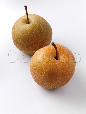 Nashi Pears