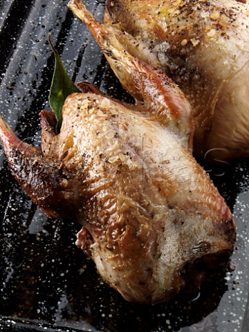 Roast partridges in a pan