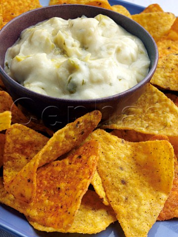 Leek artichoke dip