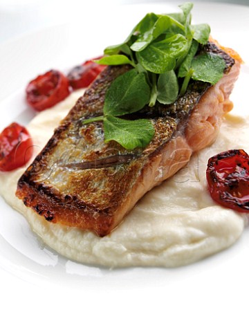 Salmon and celariac puree