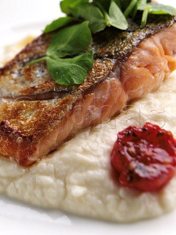 Salmon and celariac puree