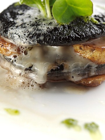 Mushroom stuffed with Stilton and potatoes with jerusalem artichoke velouta and salsa verde