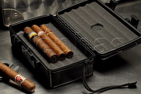 Humidor with cigars