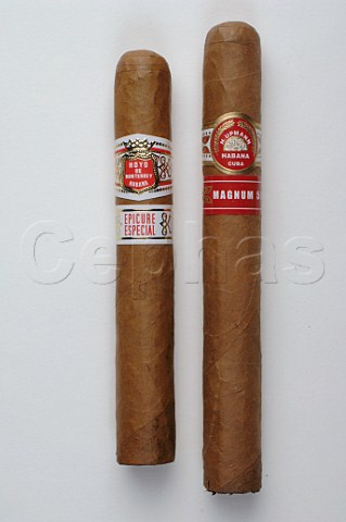 Hoyo de Monterey and Upmann cigars
