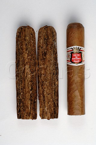 Whole and halved Hoyo de Monterrey cigar