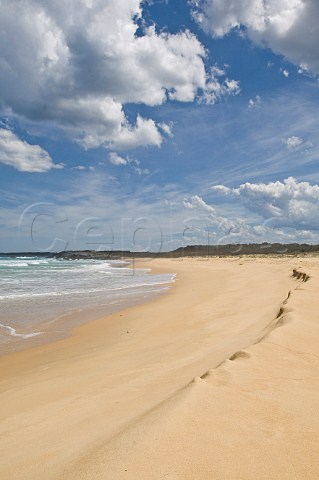Beach at Mullimburra Point Eurobodalla National Park New South Wales Australia