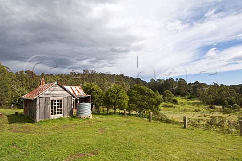 Alexanders Hut South East Forest National Park New South Wales Australia