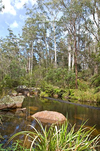 Tantawangalo River Southeast Forests National Park New South Wales Australia