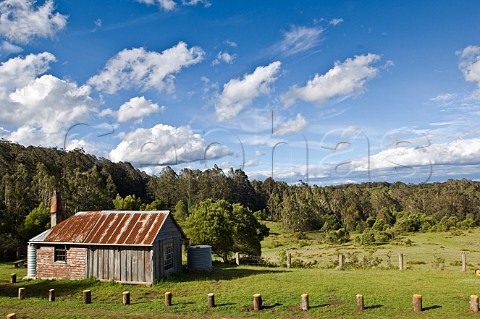 Alexanders Hut South East Forest National Park New South Wales Australia