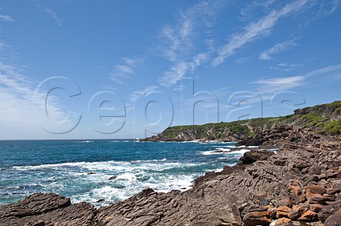 Coast near Bittangabee Ben Boyd National Park New South Wales Australia