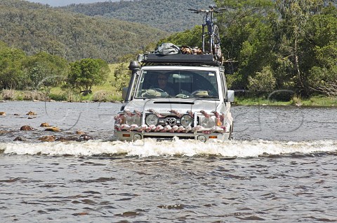 4wd car crossing the Snowy River at Jacksons Crossing Snowy River National Park Victoria Australia