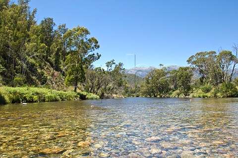 Swampy Plains Creek Geehi Valley Kosciuszko National Park New South Wales Australia