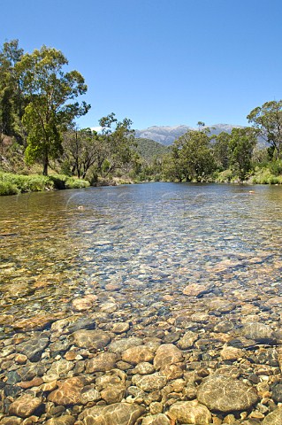 Swampy Plains Creek Geehi Valley Kosciuszko National Park New South Wales Australia