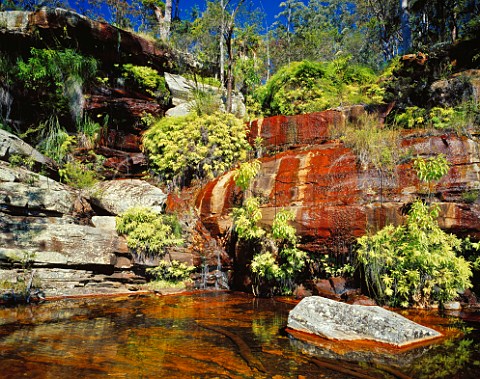 Two Mile Falls in Blackdown Tableland National Park Queensland Australia