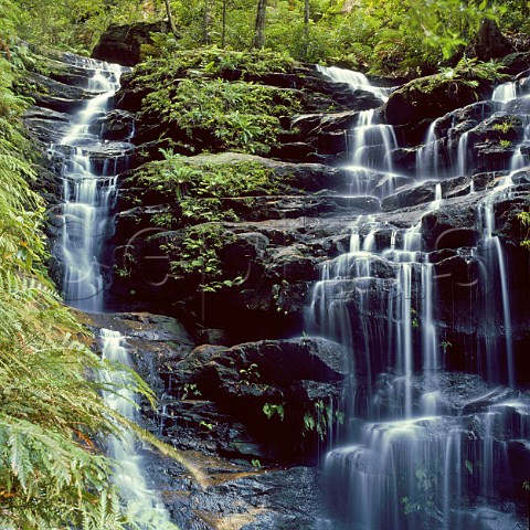 Cascade in Valley of the Waters Blue Mountians National Park New South Wales Australia