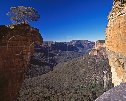 Hanging Rock Blue Mountains National Park New South Wales Australia