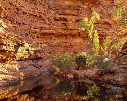Waterhole Kings Canyon Watarrka National Park Northern Territory Australia