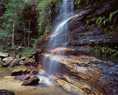 Federal Falls Lawson Blue Mountains National Park New South Wales Australia