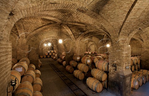 Barrel cellar of Via Santa Carolina Santiago Chile  Maipo Valley