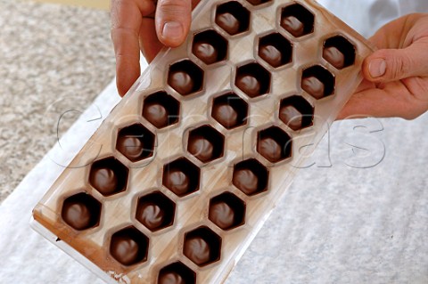 Step by step 8 of 12 Making Belgian Chocolates