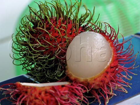 Rambutan fruit Thailand