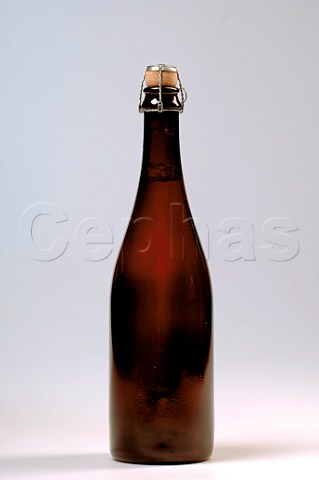 Bottle of Belgian beer