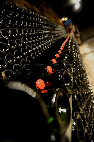 Bottle cellar of Chteau GenoelsElderen Riemst Belgium