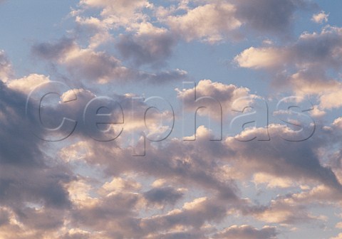 Cloudscape