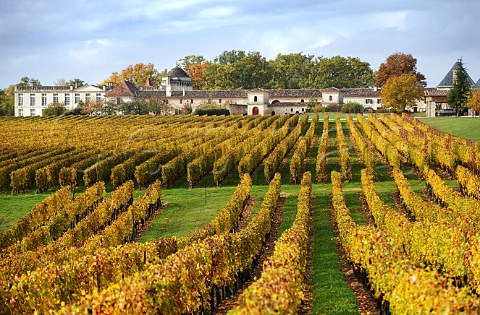 Chteau Laroque and its vineyard Stmilion Gironde France Saintmilion  Bordeaux