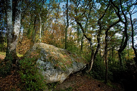 Mgalithe de Picampeau at LussacStmilion Gironde France
