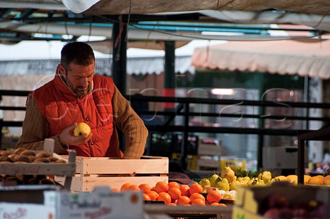 Stall owner setting out pears at the start of the days market Rialto market San Polo Venice Italy