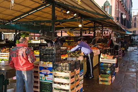 Stall owner setting out vegetables at the start of the days market Rialto market San Polo Venice Italy