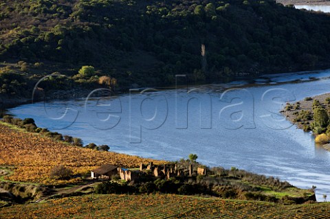 Old adobe winery ruins and 120year old Cabernet Sauvignon vineyard of OFournier by the confluence of the Loncomilla and Maule Rivers Chile  Maule Valley