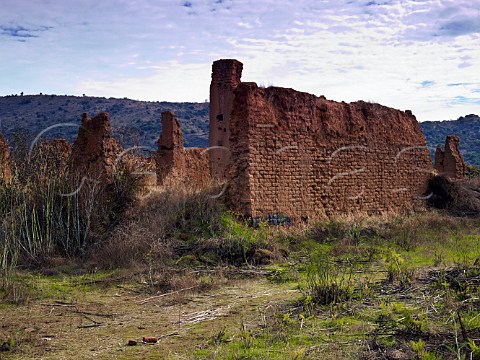 200year old adobe winery ruins on the OFournier estate Maule Valley Chile