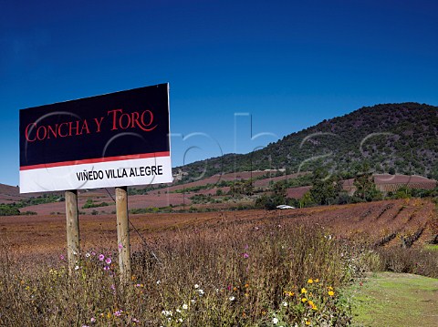 Villa Alegre vineyard of Concha y Toro Maule Valley Chile