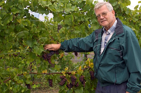 Scott Henry III in Pinot Gris vineyard of Henry Estate  Umpqua Oregon USA  Umpqua Valley
