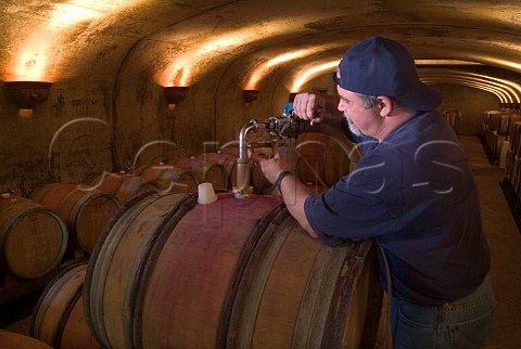 Tapping a barrel at Adelsheim Winery  Newberg Oregon USA  Willamette Valley
