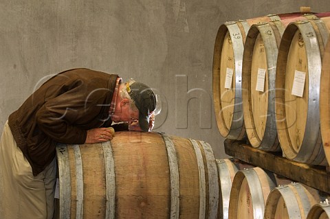 Winemaker Terry Casteel in the barrel cellar at Bethel Heights winery  Salem Oregon USA  Willamette Valley