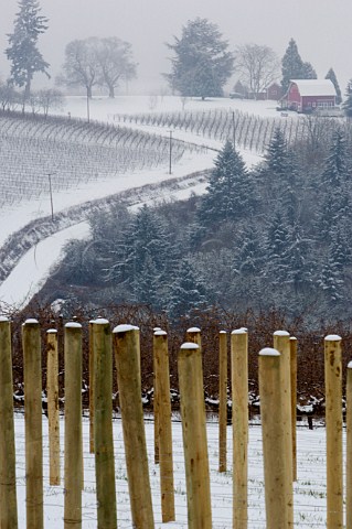Snow in Knudsen vineyard looking towards Bella Vida vineyard with Maresh Red Barn tasting room beyond  Dundee Oregon USA  Willamette Valley