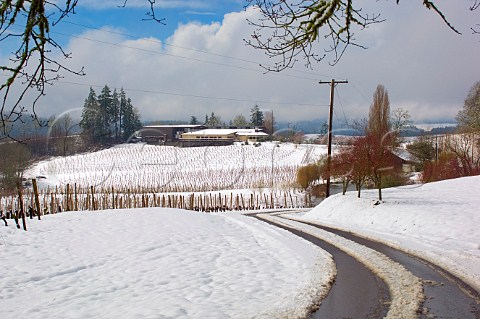 Elk Cove winery and snowcovered vineyard  Gaston Oregon USA  Willamette Valley