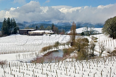 Elk Cove winery and snowcovered vineyard  Gaston Washington County Oregon USA  Willamette Valley