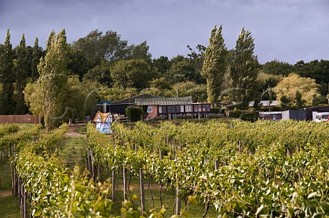 Rosemary Vineyard and winery Ryde  Isle of Wight England