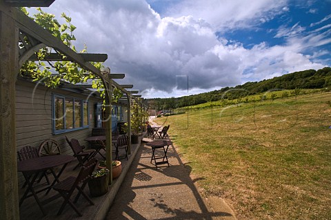 Tasting rooms looking out onto vineyards at Adgestone Vineyard Sandown  Isle of Wight England