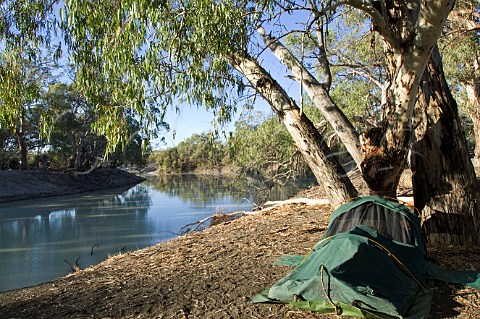 Camping on the Darling River at Kinchega National Park New South Wales Australia