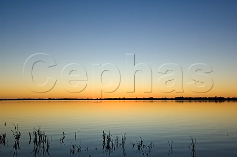 Lake Cargellico at sunrise New South Wales Australia